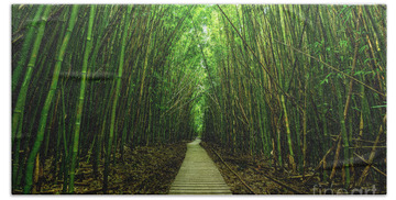 Bamboo Trees Hand Towels