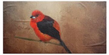 Tanager Hand Towels