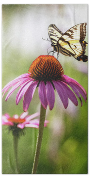Eastern Tiger Swallowtail Hand Towels