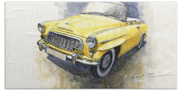 Designs Similar to 1957-1959 Skoda 450 cabrio 