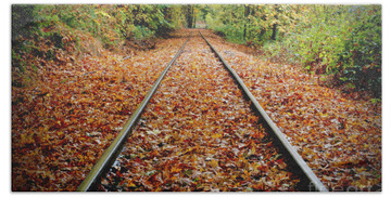 Designs Similar to Looking Down The Tracks, 