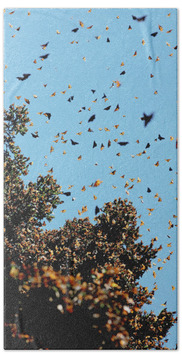 Butterflies Of North America Hand Towels