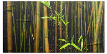 Bamboo Shoots Hand Towels