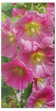 Designs Similar to Pink Hollyhock Flowers