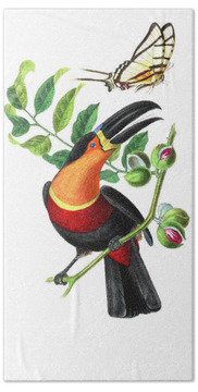 Channel-billed Toucan Hand Towels
