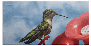 Hummingbird Feeder Hand Towels
