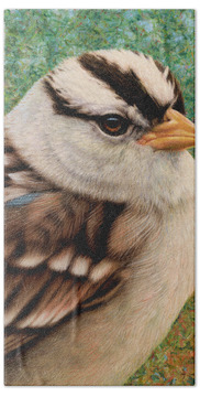 White-crowned Sparrow Bath Towels