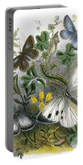 Sphinx Moth Caterpillar Portable Battery Chargers