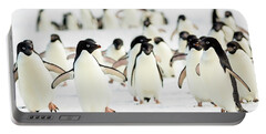 Adelie Penguin Portable Battery Chargers