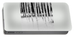 Icicle Portable Battery Chargers