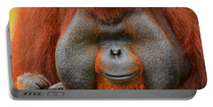Orangutan Side View Portable Battery Chargers