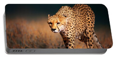 Cheetahs Portable Battery Chargers