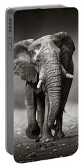 Elephant Approach From The Front Portable Battery Charger