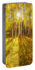 Aspen Gold Portable Battery Chargers