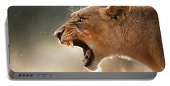 Lion Portable Battery Chargers
