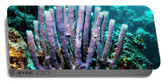 Designs Similar to Tube Sponge On A Reef