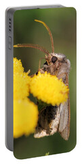 Agrotis Volubilis Portable Battery Chargers