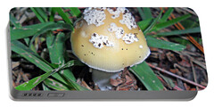Designs Similar to Ornate Mushroom