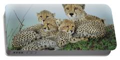 Designs Similar to Cheetah And Her Cubs