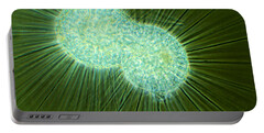 Heliozoan Portable Battery Chargers