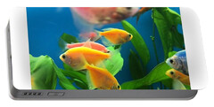 Designs Similar to Fish Tank With Colorful Fish