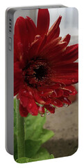 Gerber Daisy Portable Battery Chargers
