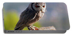 Great Horned Owl Portable Battery Chargers