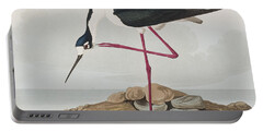 American Avocet Portable Battery Chargers