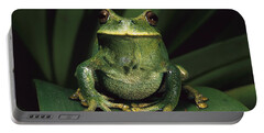 Rainforest Frog Portable Battery Chargers
