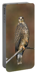 Snail Kite Portable Battery Chargers