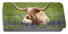 Springtime In Texas Portable Battery Chargers