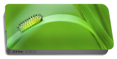 Sawfly Portable Battery Chargers