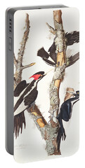 Woody Woodpecker Portable Battery Chargers