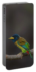 Song Bird Portable Battery Chargers
