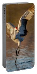 Bosque Del Apache National Wildlife Refuge Portable Battery Chargers