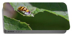 Spotted Cucumber Beetle Portable Battery Chargers