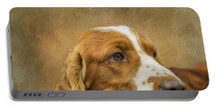 Welsh Springer Spaniel Portable Battery Chargers