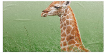 Designs Similar to Giraffe lying in grass