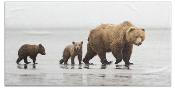 Bear Photography Beach Towels