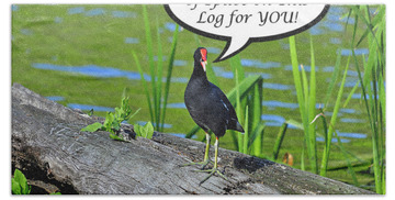 Designs Similar to Moorhen Space For You Card