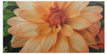 Designs Similar to Dahlia Flower #14