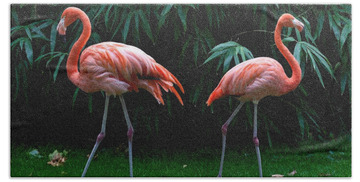Pink Flamingo Beach Towels