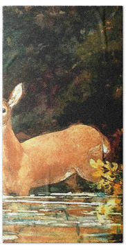 Designs Similar to A Doe by Winslow Homer