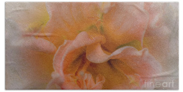Hibiscus Rosa-sinensis Beach Towels