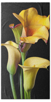 Yellow Calla Lily Beach Towels