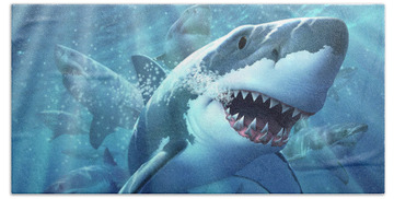 Carcharodon Carcharias Beach Towels