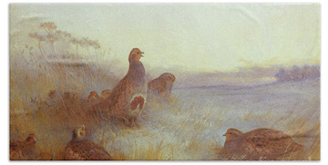 Designs Similar to Partridges in Early Morning