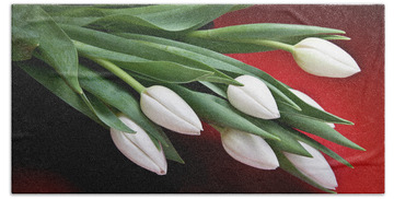 Designs Similar to Tulips I by Tom Mc Nemar