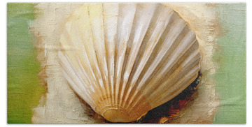 Oyster Shell Beach Towels