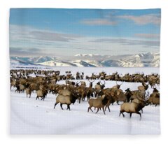 National Elk Refuge Fleece Blankets